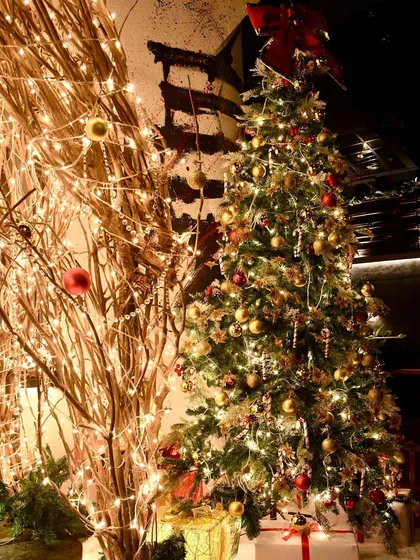 The Christmas tree at Tori, decorated in a classic style with gold ornaments and candy canes, standing next to our illuminated branch arch.