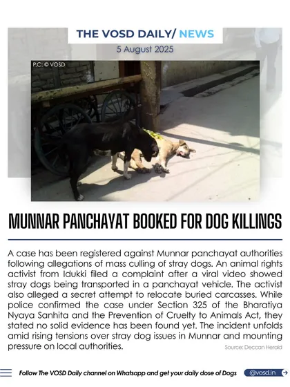 Munnar panchayat authorities have been booked following allegations of mass culling of stray dogs. A viral video showed dogs being transported in a panchayat vehicle, sparking an investigation into this alleged cruelty.