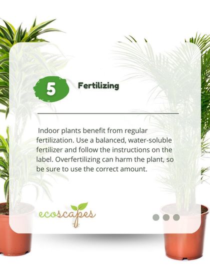 Ecoscapes Landscaping - Urban Gardening & Green Walls Urban Gardening Guides photo 30