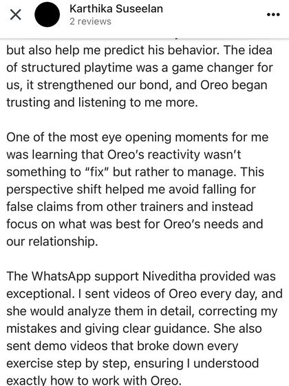 Confident Dogs - Canine Behavior Modification Real Dogs, Real Transformations photo 4