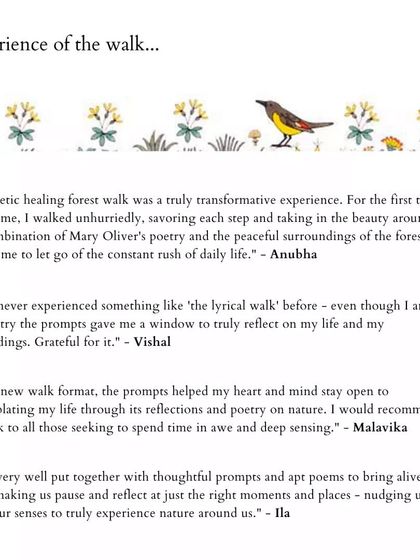 These are more reflections from people who have joined my walks. Their words speak to the soul-nourishing, meditative, and connecting power of blending poetry with nature. I am so grateful for their willingness to share their experiences.