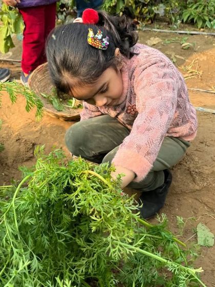 Farmus - Private Parties & Events Hands-On Farm Fun photo 23