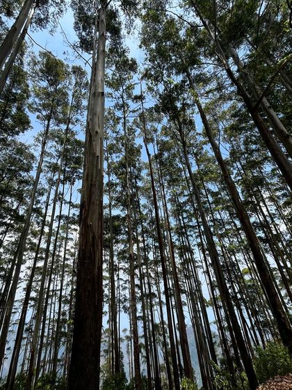 A candid moment from one of our recent trips. We believe that the best part of travel is the people you meet and the memories you create together. Join our tribe and let's make some new ones.