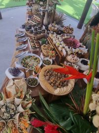 Gourmet Catering Experiences