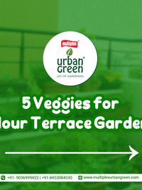 Organic Gardening Supplies