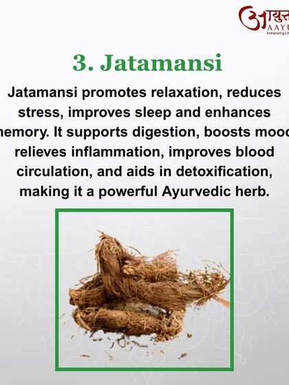 Jatamansi is a powerful herb for promoting relaxation and improving sleep quality. It also supports digestion, boosts mood, and improves blood circulation, making it a versatile part of my treatment plans.