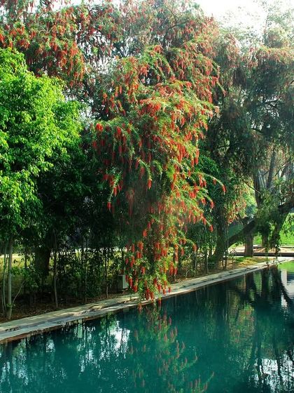 The monsoon season brings a special charm to the resort, with the greenery becoming even more vibrant. It is a wonderful time to experience our natural sanctuary.