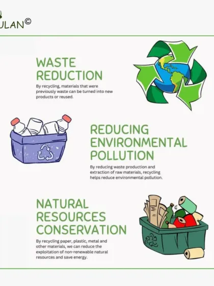 Eco Santulan - Waste Management Solutions Our Guiding Principles photo 9