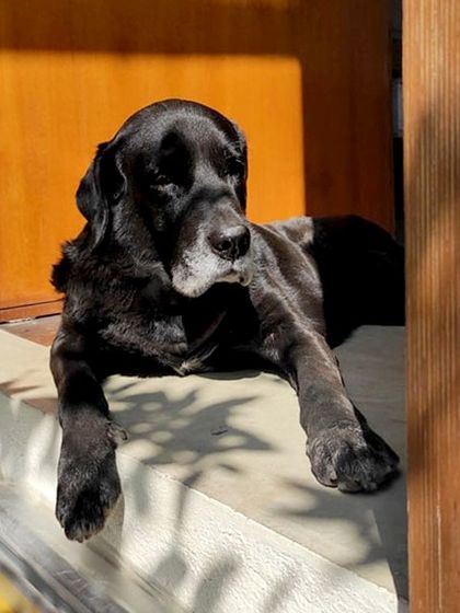 Studio XS - Architectural Design The Studio Playbook & Office Life photo 22