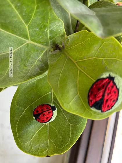 I love finding inspiration in nature. These little hand-embroidered ladybug badges felt so cheerful sitting on a fiddle leaf fig leaf. It’s a whimsical accessory that brings a small, happy detail to your day.