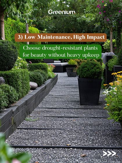Greenium - Outdoor Landscaping & Garden Design Low-Maintenance Greenery: Artificial & Hardy Plants photo 7