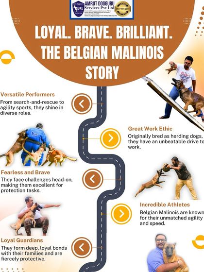 Dog Guru - Dog Behavior & Owner Consultation Understanding Different Breeds photo 3