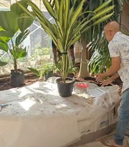 Make My Garden - Garden Design & Landscaping Indoor Green Spaces photo 24