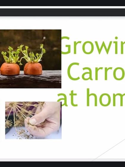 Our online sessions are full of practical tips. Here, we're showing kids how they can easily grow carrots at home from carrot tops, a simple and fun way to reduce kitchen waste and learn about gardening.