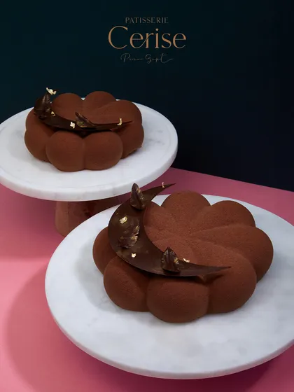 Two Chocolate Dreams entremets, showcasing their elegant form and the artistry of the chocolate work.