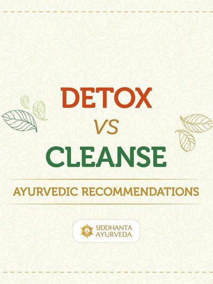 Siddhanta Ayurveda - Detox, Stress Relief & Rejuvenation Panchakarma: The Deep Detox Program photo 16