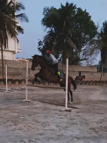A rider practices show jumping in the evening, clearing the poles with precision. Our training is available at different times to suit your schedule.