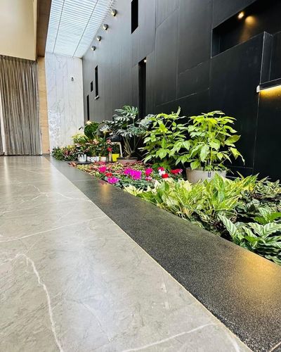 Vertical Gardening