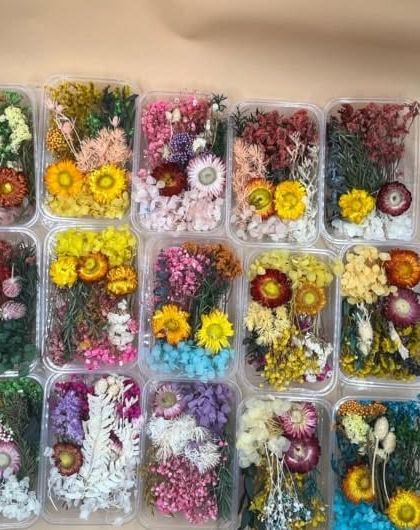 These boxes are filled with assorted dried flowers, perfect for creating 3D floral effects in resin cubes, spheres, or other deep-pour projects.