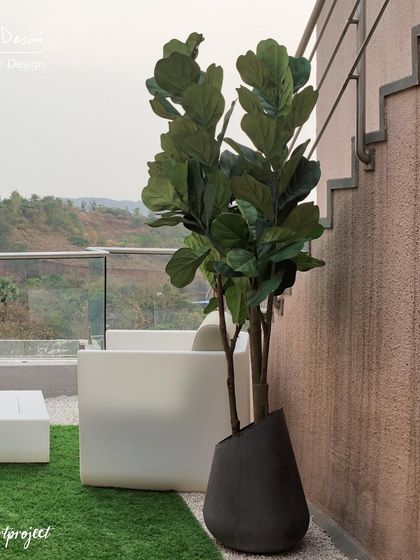 Outdoor Living & Terraces photo 4