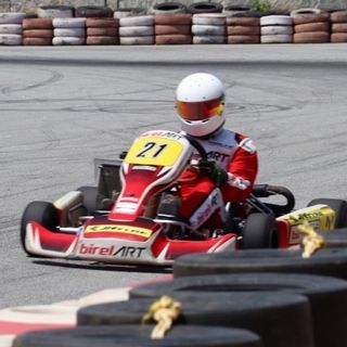 Birel ART
