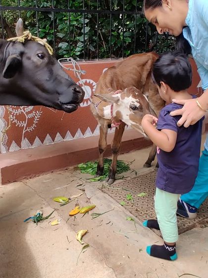 Ken Montessori - Montessori Summer Camp Learning Beyond the Classroom photo 9