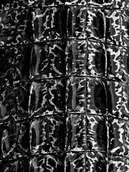 Can you guess the animal from its scales? This is a black and white macro shot of the back of an Estuarine Crocodile, focusing on the glossy, armor-like texture of its skin.