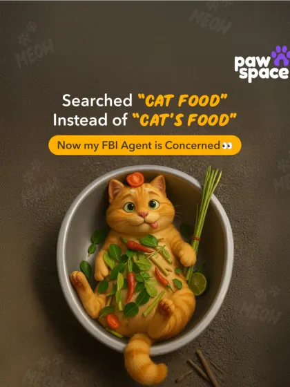 PawSpace - Fresh Pet Food Delivery Paws & Giggles photo 3