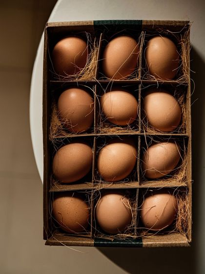 Food & Beverage Stories photo 14