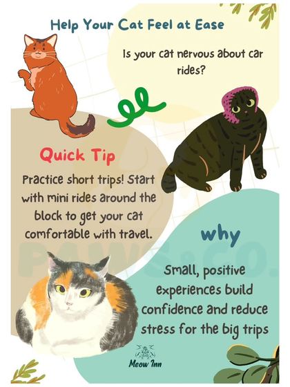 Meow Inn - Cat Hotel & Boarding Your Guide to Feline Wellness photo 25