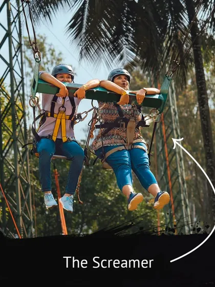 Every group has 'The Screamer,' especially on the Sky Swing. This person's expression is priceless.