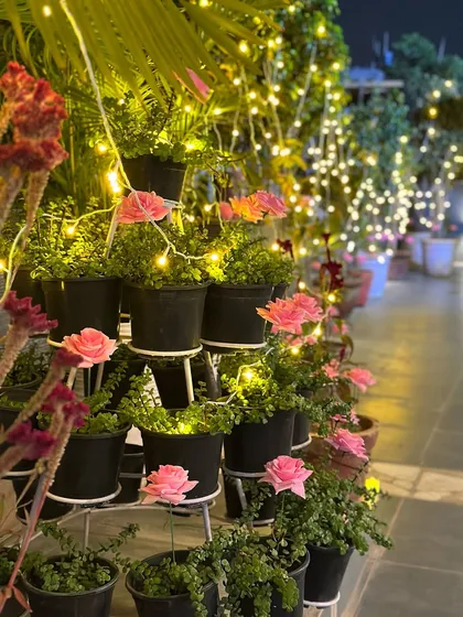 Our plant stands adorned with pink roses and fairy lights. I love integrating our natural greenery into the decor for a lush, magical feel.