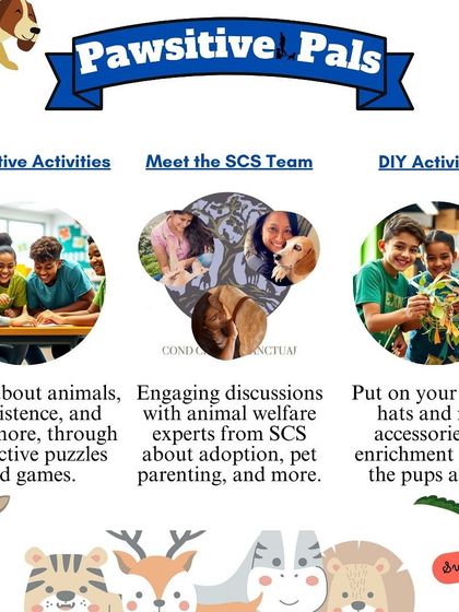 Poster for 'Pawsitive Pals' outlining the interactive and DIY activities.