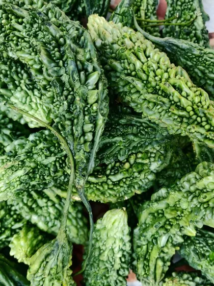 A close-up of fresh karela. I choose the best ones to ensure my pickle has the right texture and flavour.