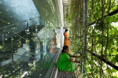 Here, gardeners tend to the living facade of the KMC Headquarters. The design incorporates catwalks for easy maintenance, ensuring the health and beauty of the green veil that defines the building.