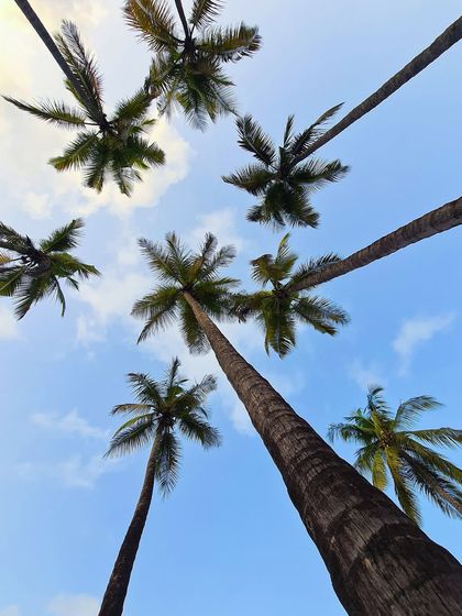 Abstracts & Details photo 5