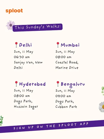 Another week, another set of community walks. Find the location and time for your city and sign up on the Sploot app.