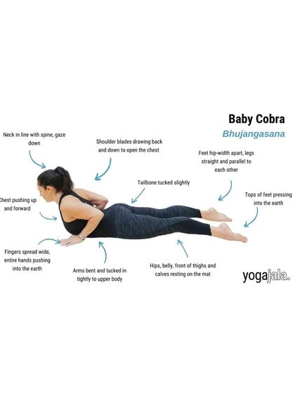 The Baby Cobra Pose (Bhujangasana). This is a gentle backbend that helps to relieve tension in the spine.