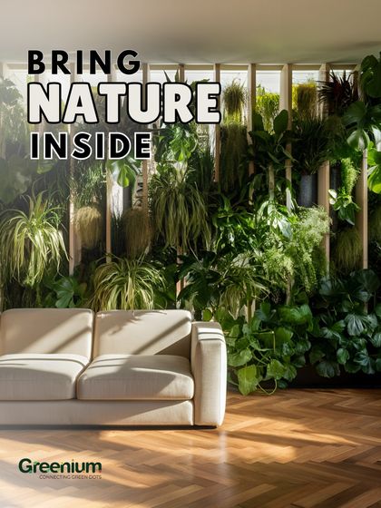 Greenium - Interior Plantscaping & Decor Live Plants for a Healthy Home photo 12