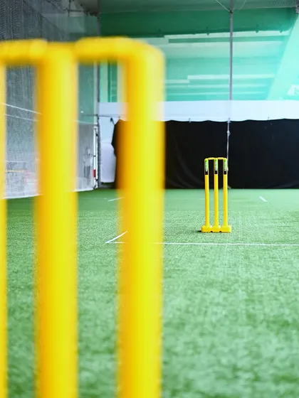 A close-up, focused shot of the bright yellow cricket wickets on the lush green turf. This highlights the professional quality of the equipment and playing surface I provide.