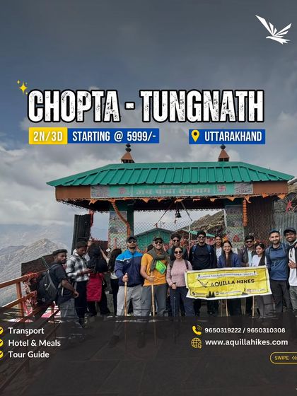 Chopta-Tungnath: The Summit of Peace photo 8