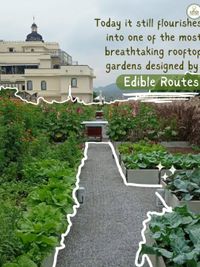 Farm Management & Leasing