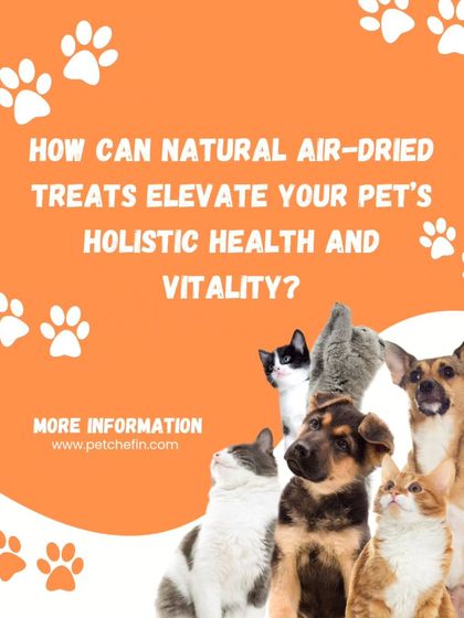 Natural air-dried treats can elevate your pet's holistic health by supporting gut health, promoting a shiny coat, reducing stress, and providing energy.