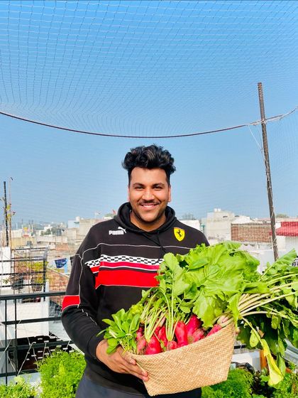 A proud moment holding a basket overflowing with my winter harvest. After replanting seeds four times because of peacocks, this success felt extra special. It's all about patience.