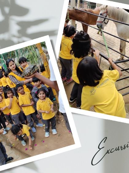 Ace Montessori - Summer Camp Outdoor Adventures & Excursions photo 17