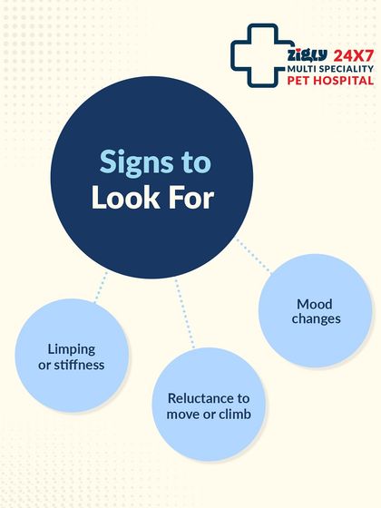 Zigly - Veterinary Services Specialized Care: Arthritis, Dental & Mobility photo 5