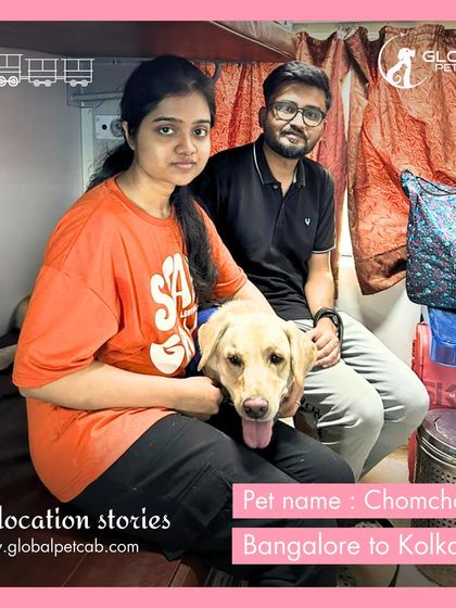 Global Pet Cab - Domestic Pet Relocation Train Travel: First-Class Coupe Journeys photo 34