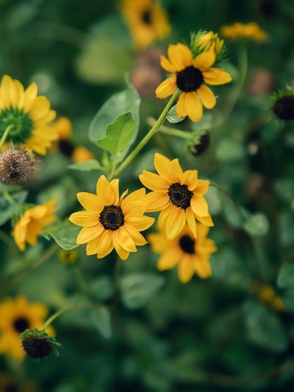 Garima Bhaskar - Photography Services Moody Moments & Details photo 9