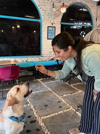 "Good boy!" A guest rewards her Labrador with a treat for being so patient and well-behaved.