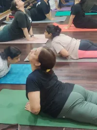 Yoga Therapy for Pain Relief